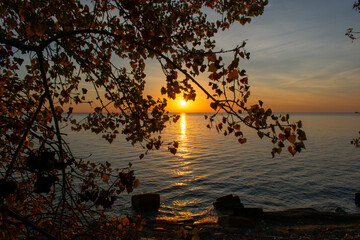 Sunrise through Tree