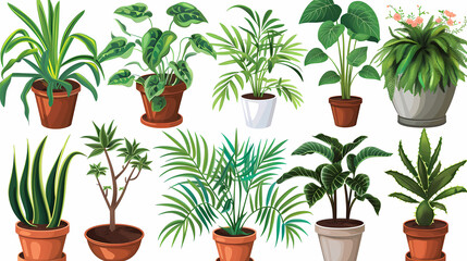 Set of different plants in pots isolated on white background illustration