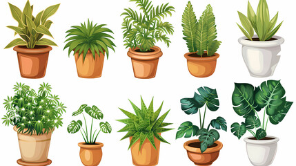 Obraz premium Set of different plants in pots isolated on white background illustration