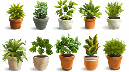 Set of different plants in pots isolated on white background illustration