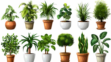 Fototapeta premium Set of different plants in pots isolated on white background illustration