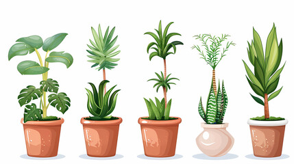 Set of different plants in pots isolated on white background illustration
