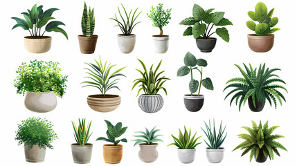 Obraz premium Set of different plants in pots isolated on white background illustration