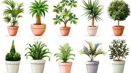 Fototapeta premium Set of different plants in pots isolated on white background illustration