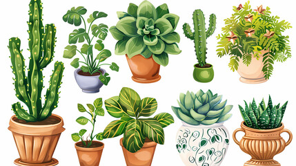 Fototapeta premium Set of different plants in pots isolated on white background illustration