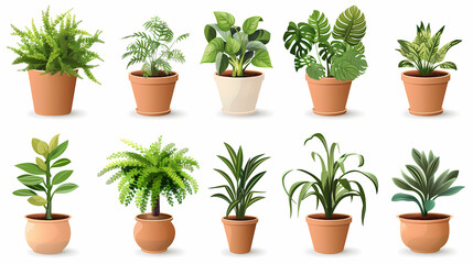 Set of different plants in pots isolated on white background illustration