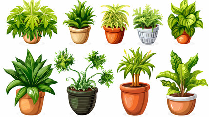 Set of different plants in pots isolated on white background illustration