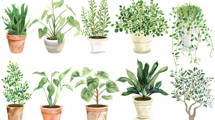 Obraz premium Set of different plants in pots isolated on white background illustration