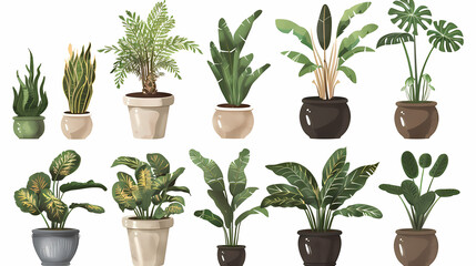 Obraz premium Set of different plants in pots isolated on white background illustration