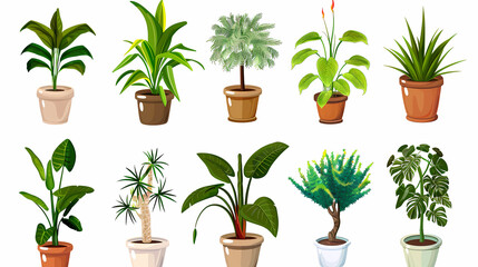 Obraz premium Set of different plants in pots isolated on white background illustration