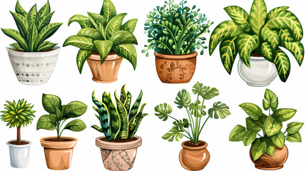 Obraz premium Set of different plants in pots isolated on white background illustration