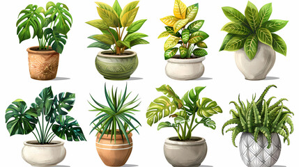 Obraz premium Set of different plants in pots isolated on white background illustration