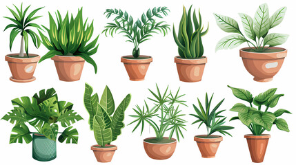 Obraz premium Set of different plants in pots isolated on white background illustration