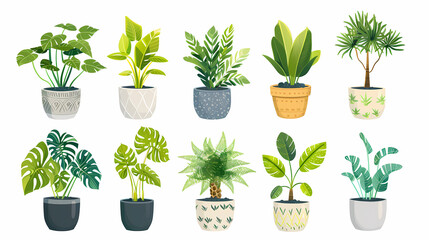 Set of different plants in pots isolated on white background illustration