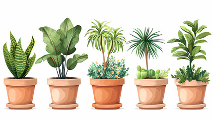 Set of different plants in pots isolated on white background illustration