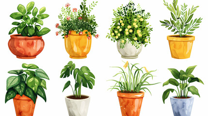 Obraz premium Set of different plants in pots isolated on white background illustration