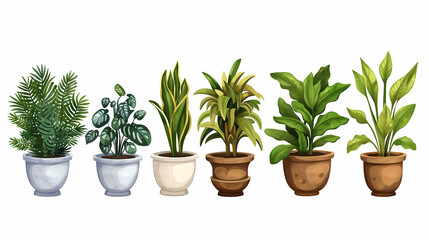 Obraz premium Set of different plants in pots isolated on white background illustration