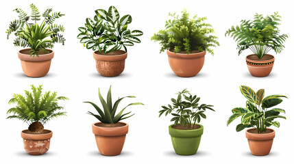 Obraz premium Set of different plants in pots isolated on white background illustration