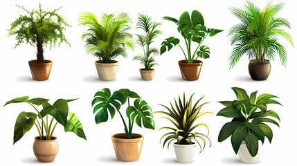 Obraz premium Set of different plants in pots isolated on white background illustration