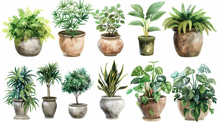 Fototapeta premium Set of different plants in pots isolated on white background illustration