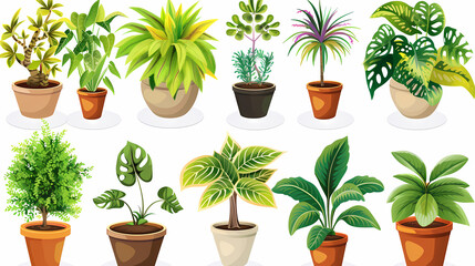 Obraz premium Set of different plants in pots isolated on white background illustration