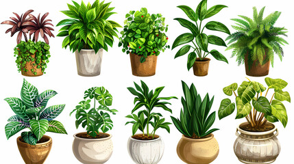 Fototapeta premium Set of different plants in pots isolated on white background illustration