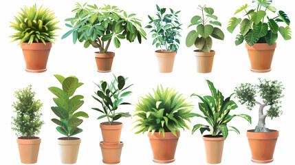 Set of different plants in pots isolated on white background illustration