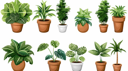 Fototapeta premium Set of different plants in pots isolated on white background illustration