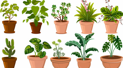 Obraz premium Set of different plants in pots isolated on white background illustration