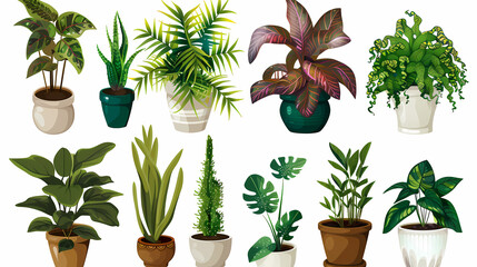 Fototapeta premium Set of different plants in pots isolated on white background illustration