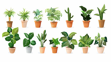 Fototapeta premium Set of different plants in pots isolated on white background illustration