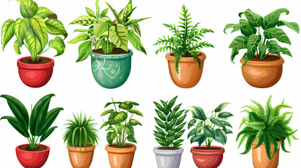 Fototapeta premium Set of different plants in pots isolated on white background illustration
