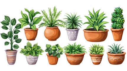 Obraz premium Set of different plants in pots isolated on white background illustration