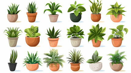Set of different plants in pots isolated on white background illustration
