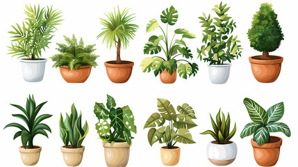 Obraz premium Set of different plants in pots isolated on white background illustration