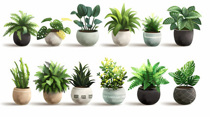 Set of different plants in pots isolated on white background illustration