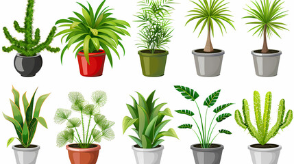 Fototapeta premium Set of different plants in pots isolated on white background illustration