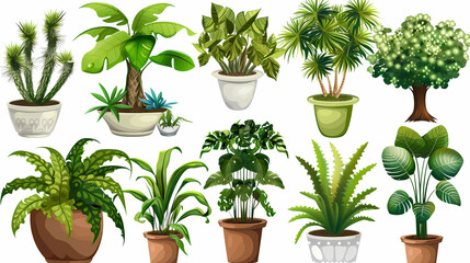 Obraz premium Set of different plants in pots isolated on white background illustration