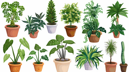 Obraz premium Set of different plants in pots isolated on white background illustration