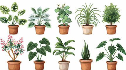 Fototapeta premium Set of different plants in pots isolated on white background illustration