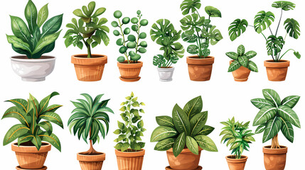 Fototapeta premium Set of different plants in pots isolated on white background illustration