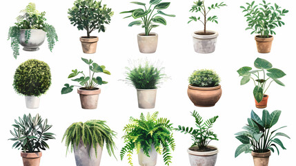 Obraz premium Set of different plants in pots isolated on white background illustration