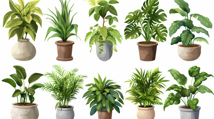Obraz premium Set of different plants in pots isolated on white background illustration