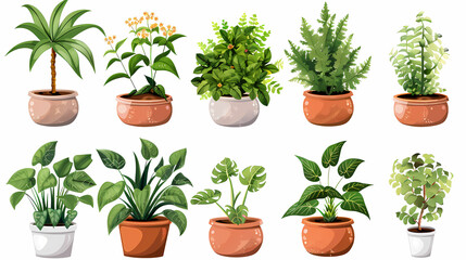 Fototapeta premium Set of different plants in pots isolated on white background illustration
