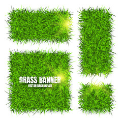 Green grass banners, background. Field, meadow texture, grassy landscape. Organic, bio, eco and natural lifestyle design elements. Ecology and environment protection. Vector illustration