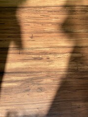 Top view of a beautiful wooden oek wood floor with morning sunlight and shadow. Abstract, Brown, Warm, Background, Backdrop, Mock up, Eco living, Texture, Surface, Natural.