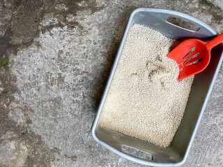 Clump the cat feces in the litter box with an orange scoop