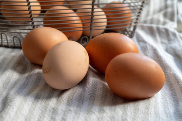 Organic brown chicken eggs from free-range organic farm in basket
