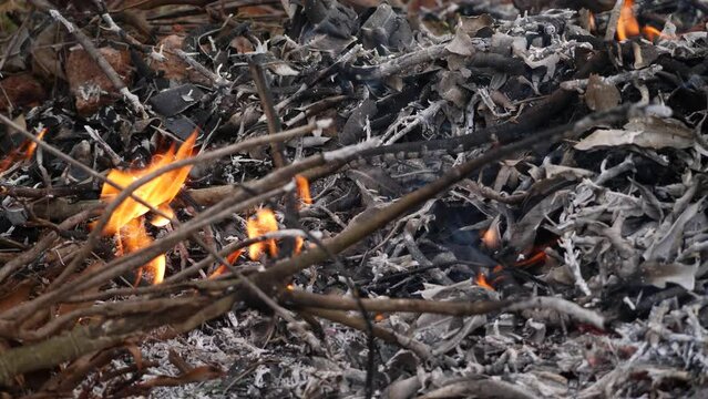  Amidst the ashes a flame flickers in the heart of the debris