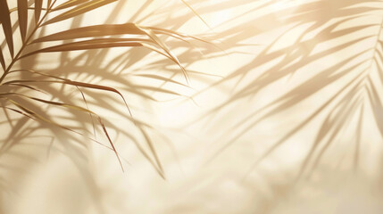 Blurred shadow from palm leaves on light cream wall